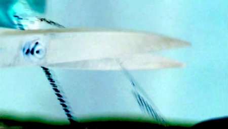 f:id:Leo16:20131214143316j:image:w355