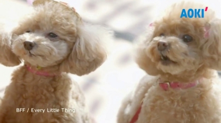 f:id:Leo16:20140301162728j:image:w355