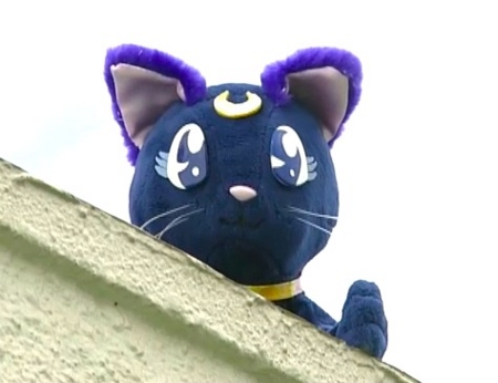 f:id:Leo16:20140816075657j:image:h180:w235