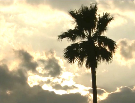 f:id:Leo16:20160213205159j:image:w300