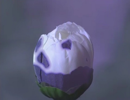 f:id:Leo16:20160214005830j:image:w300