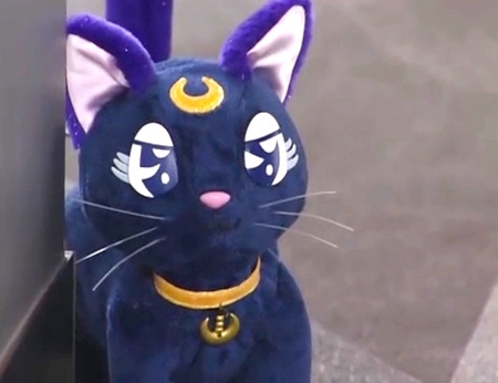 f:id:Leo16:20160312131016j:image:w300