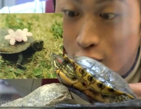 f:id:Leo16:20180520080357j:image:w430