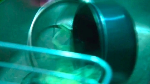 f:id:Leo16:20190609080249j:image:w450