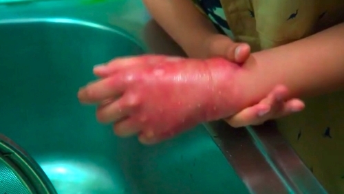 f:id:Leo16:20190609080251j:image:w450