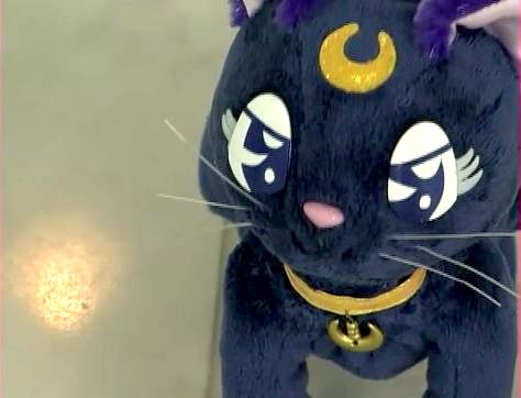 f:id:Leo16:20200118112237j:image:w440