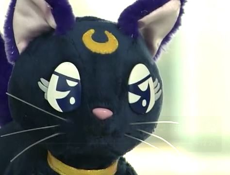 f:id:Leo16:20200118190850j:image:w440