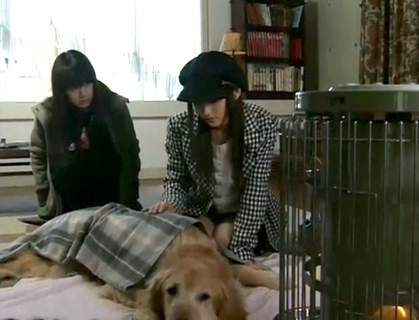 f:id:Leo16:20200307120448j:image:w440