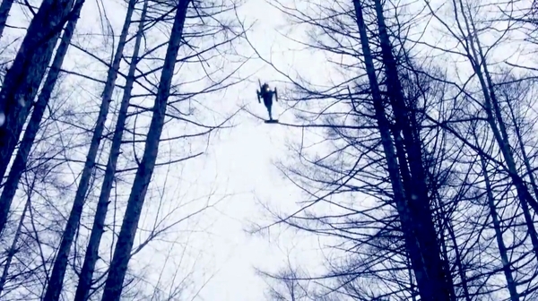 f:id:Leo16:20210424234127j:image:w450