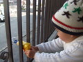 20100407161528
