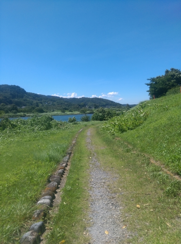 20150714134707