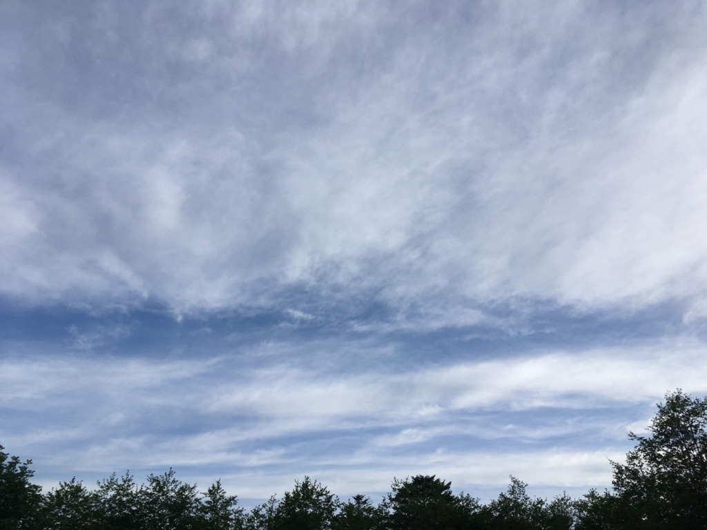f:id:Leo_Kirishima07:20180525053522j:plain f:id:Leo_Kirishima07:20180525053522j:plain