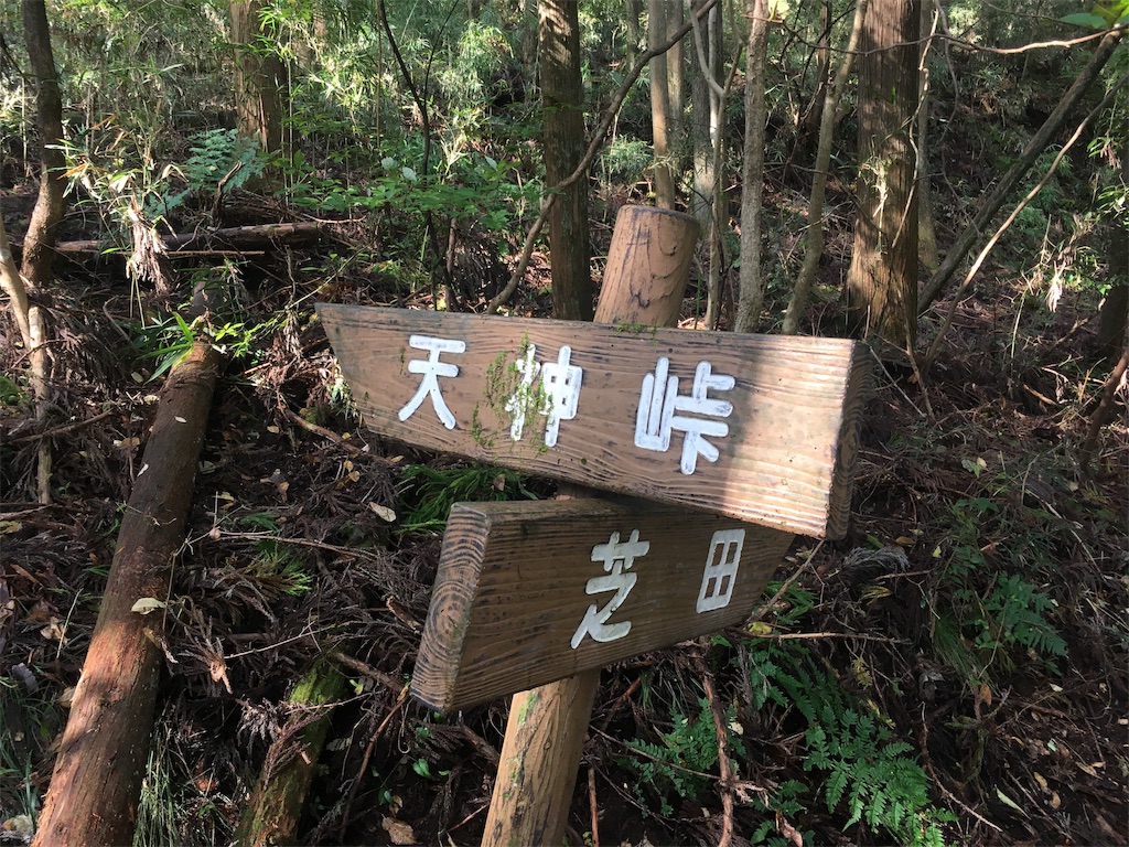 f:id:Leo_Kirishima07:20181022055720j:image f:id:Leo_Kirishima07:20181022055720j:image