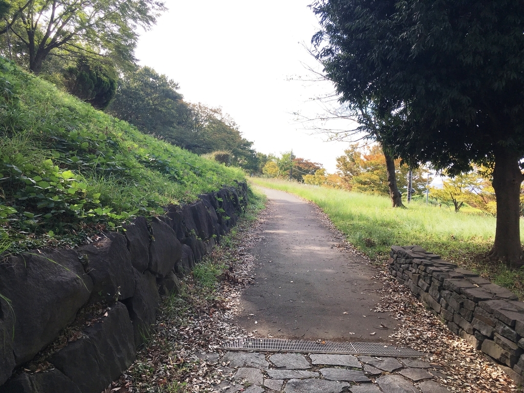 f:id:Leo_Kirishima07:20181024111131j:plain f:id:Leo_Kirishima07:20181024111131j:plain