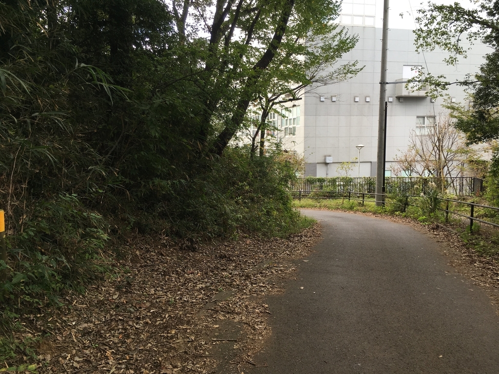 f:id:Leo_Kirishima07:20181024115937j:plain f:id:Leo_Kirishima07:20181024115937j:plain