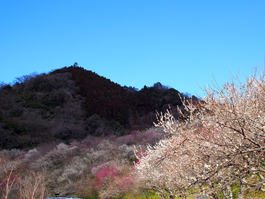 f:id:Leo_Kirishima07:20190308135352j:plain f:id:Leo_Kirishima07:20190308135352j:plain