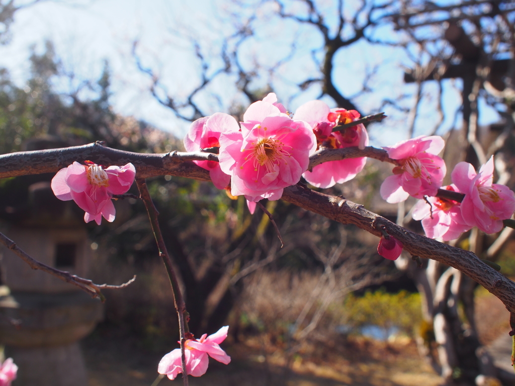 f:id:Leo_Kirishima07:20190309212322j:plain f:id:Leo_Kirishima07:20190309212322j:plain