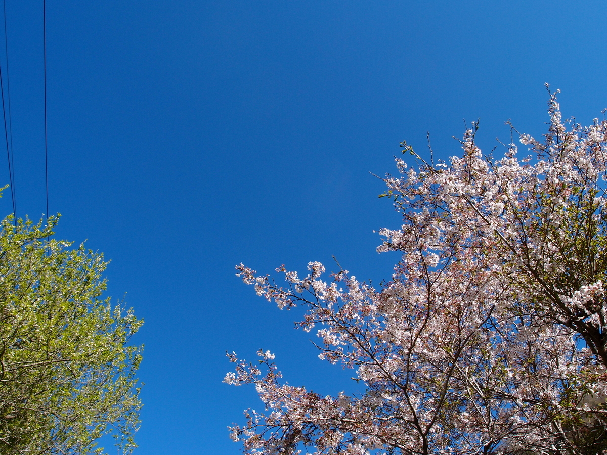 f:id:Leo_Kirishima07:20190416074745j:plain