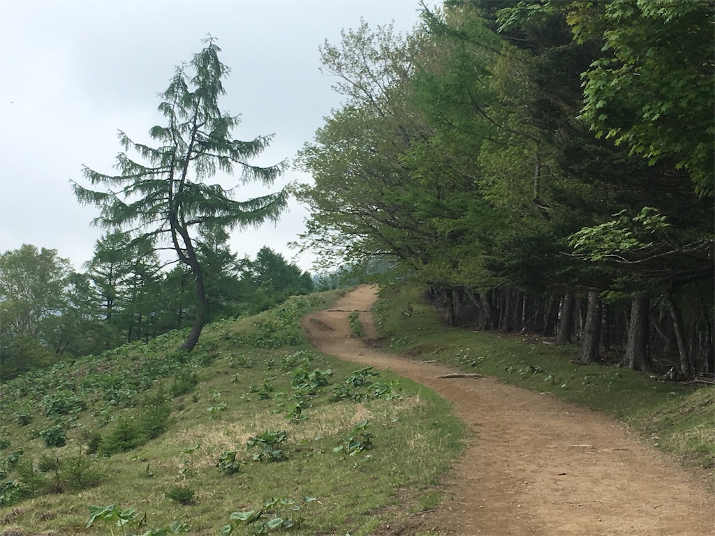 f:id:Leo_Kirishima07:20190604161442j:image f:id:Leo_Kirishima07:20190604161442j:image