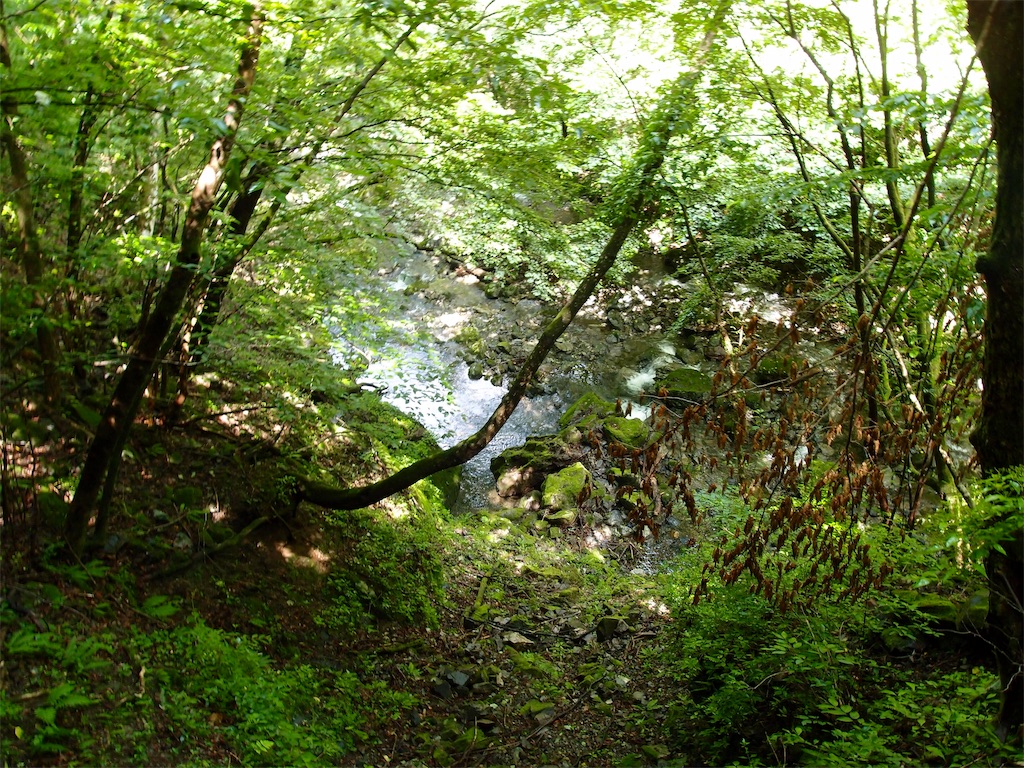 f:id:Leo_Kirishima07:20190801051110j:image f:id:Leo_Kirishima07:20190801051110j:image