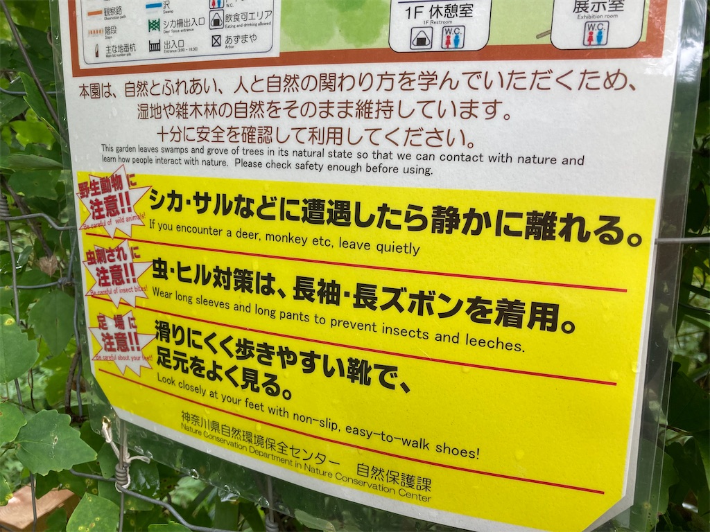f:id:Leo_Kirishima07:20200603130400j:image f:id:Leo_Kirishima07:20200603130400j:image
