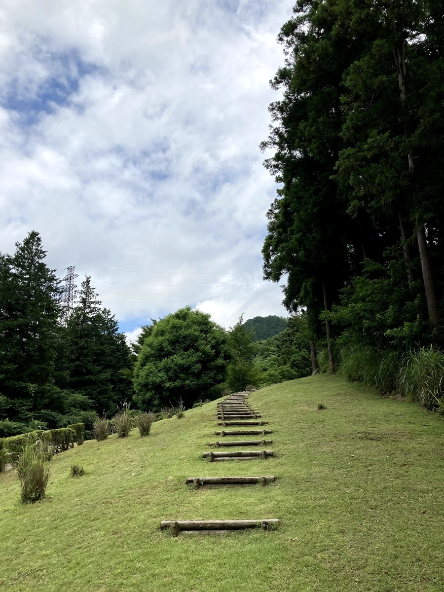 f:id:Leo_Kirishima07:20200623113045j:plain