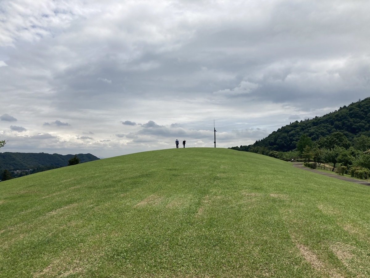 f:id:Leo_Kirishima07:20200623114524j:plain