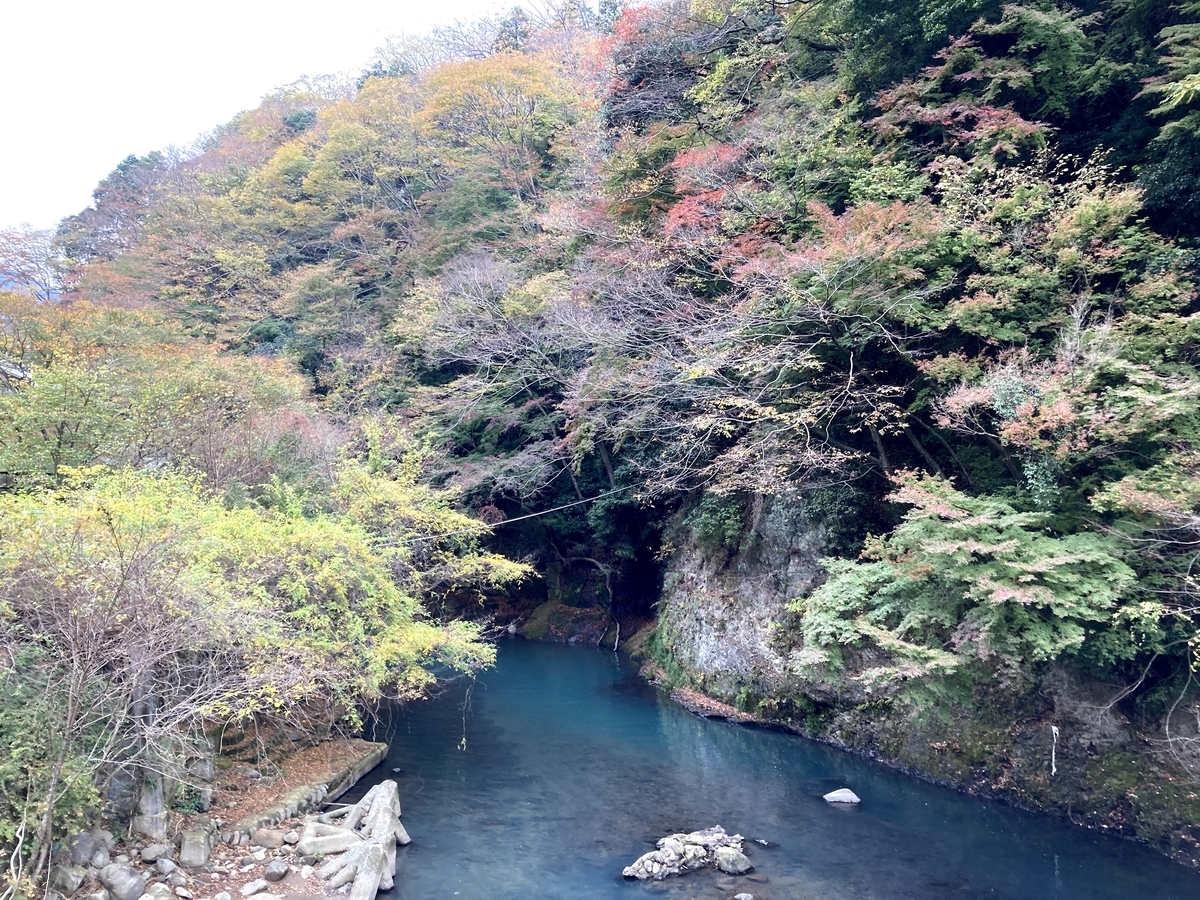 f:id:Leo_Kirishima07:20201126132923j:plain