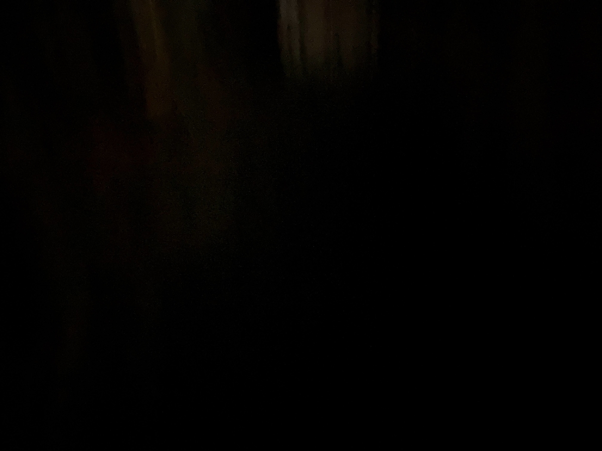 f:id:Leo_Kirishima07:20201215061251j:plain