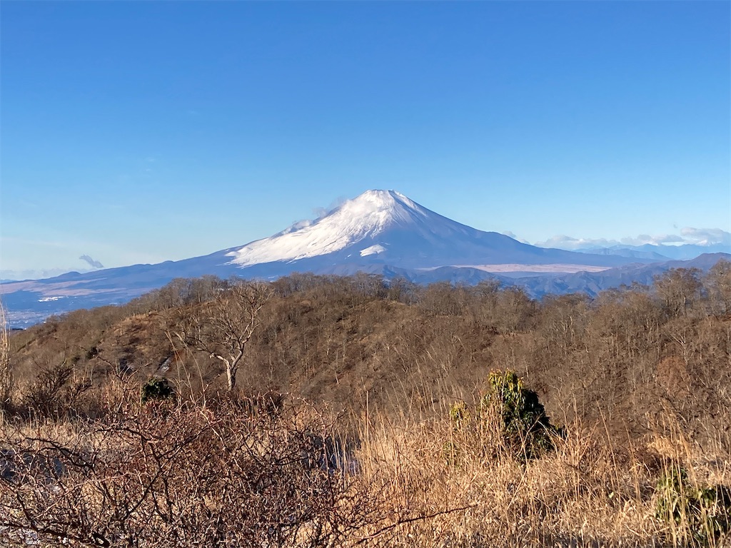 f:id:Leo_Kirishima07:20201215213138j:image f:id:Leo_Kirishima07:20201215213138j:image