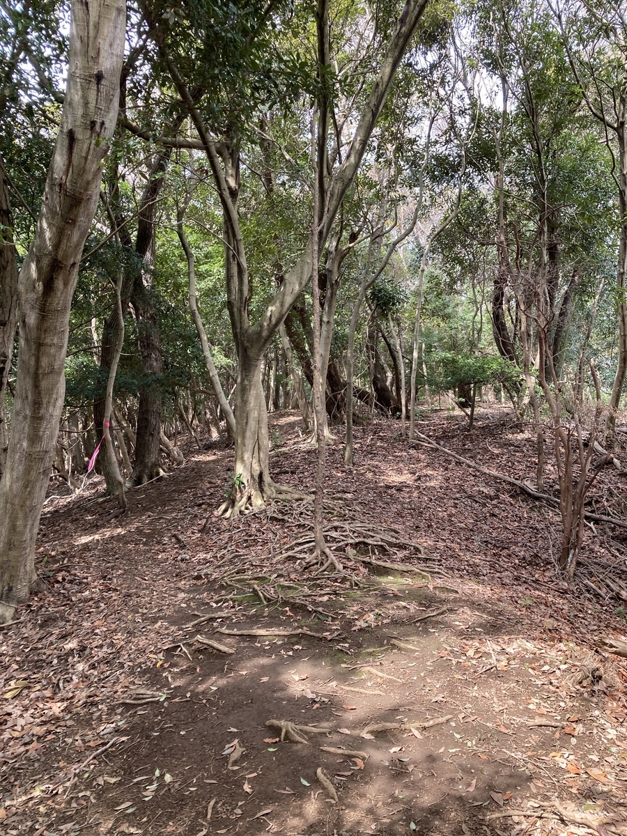 f:id:Leo_Kirishima07:20220331090949j:plain
