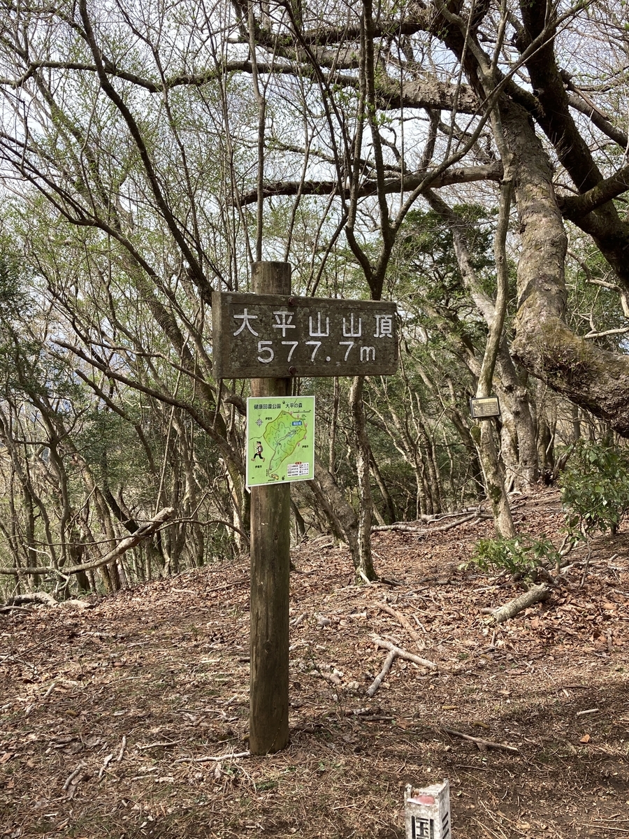 f:id:Leo_Kirishima07:20220331094834j:plain
