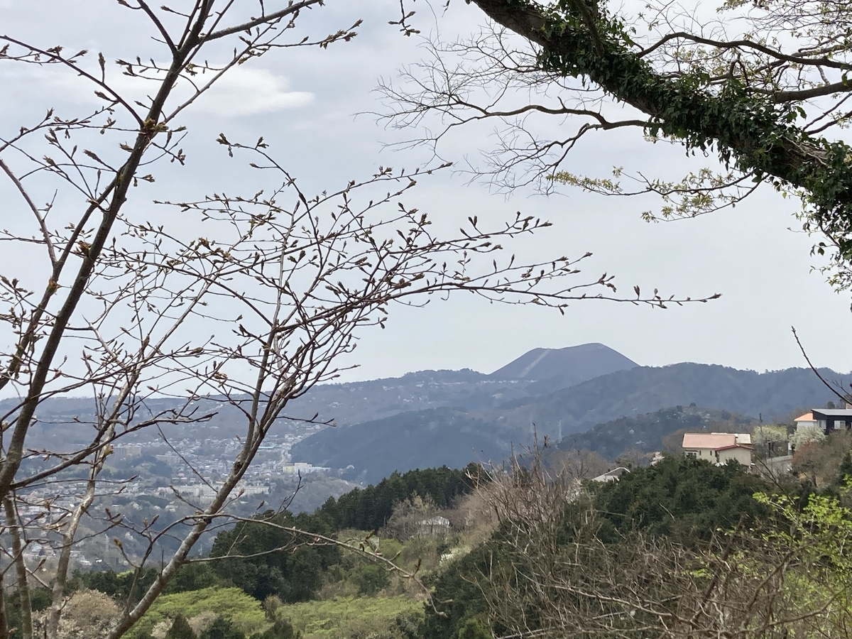 f:id:Leo_Kirishima07:20220331113108j:plain