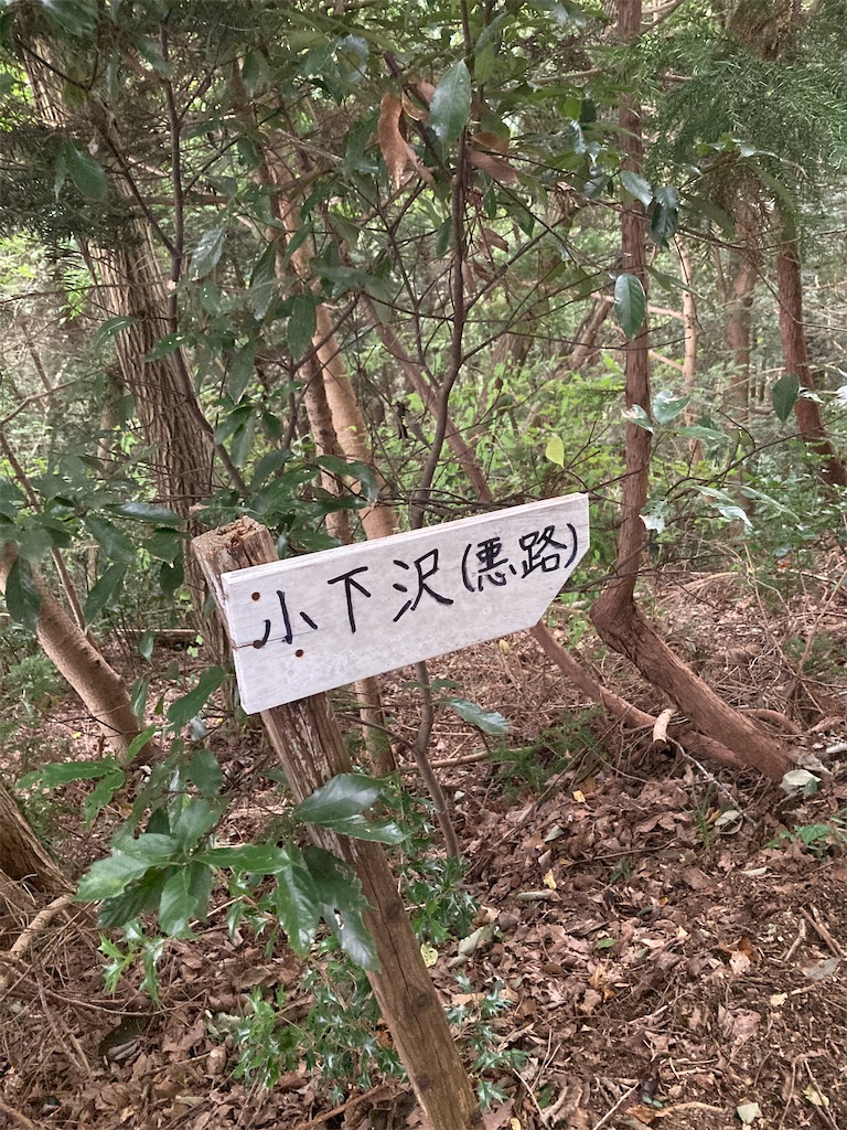 f:id:Leo_Kirishima07:20220930111753j:image f:id:Leo_Kirishima07:20220930111753j:image
