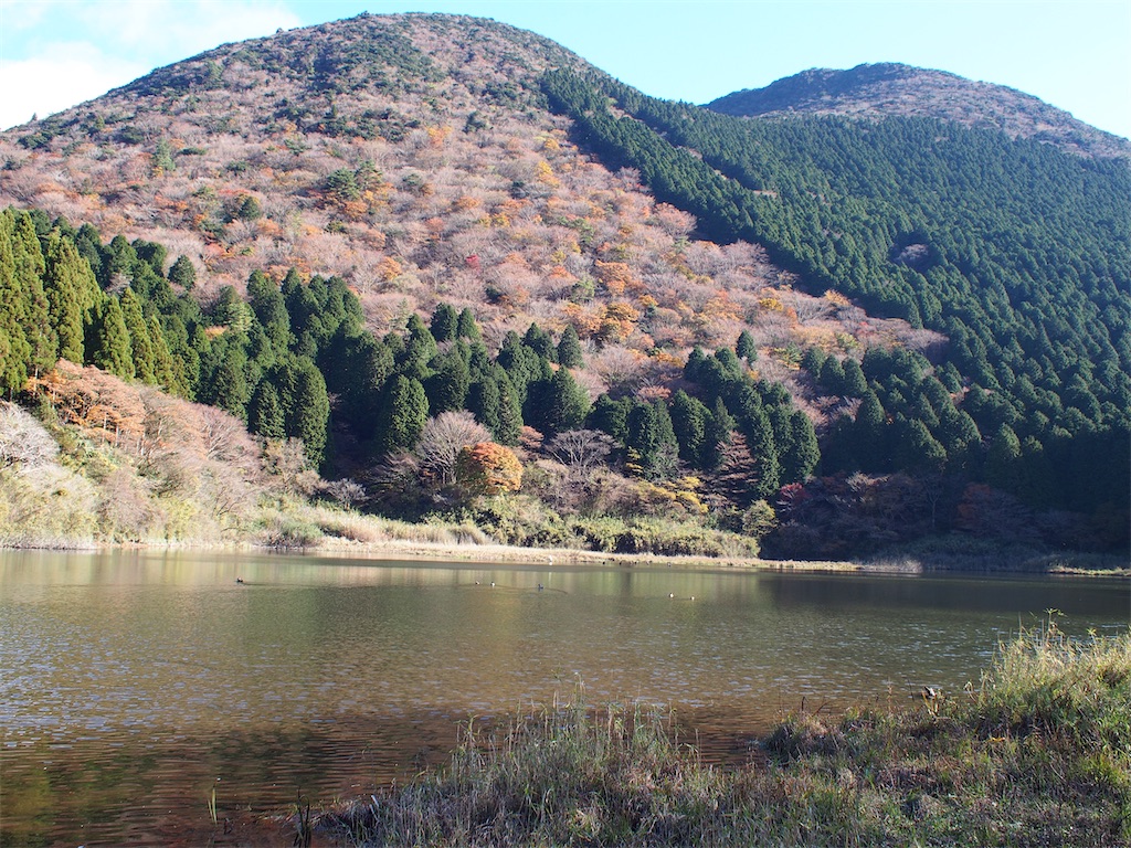 f:id:Leo_Kirishima07:20221120051725j:image f:id:Leo_Kirishima07:20221120051725j:image