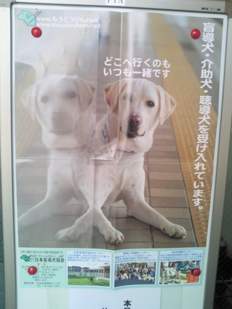 f:id:Leopapa1:20081213110700j:image