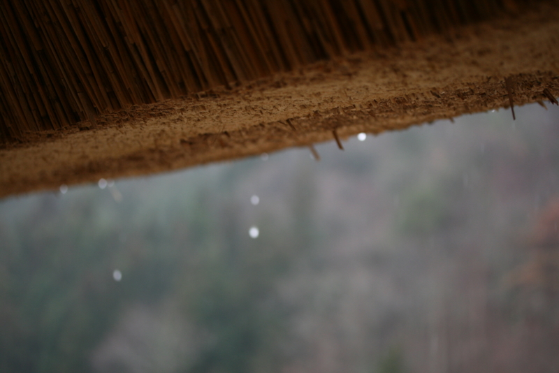 f:id:LepurDIARY:20090313091023j:image:w360 f:id:LepurDIARY:20090313091023j:image:w360