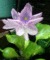 f:id:LepurDIARY:20140618085200j:image:small f:id:LepurDIARY:20140618085200j:image:small
