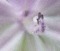 f:id:LepurDIARY:20140618114455j:image:small f:id:LepurDIARY:20140618114455j:image:small
