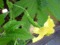 f:id:LepurDIARY:20170610134227j:image:small f:id:LepurDIARY:20170610134227j:image:small