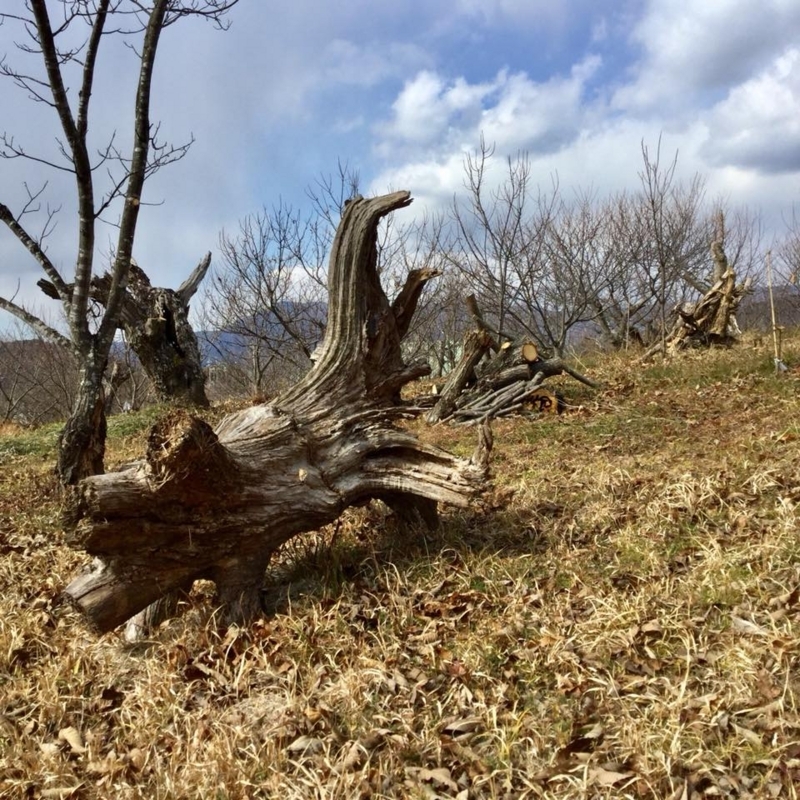 f:id:LepurDIARY:20180214173952j:image:w360 f:id:LepurDIARY:20180214173952j:image:w360