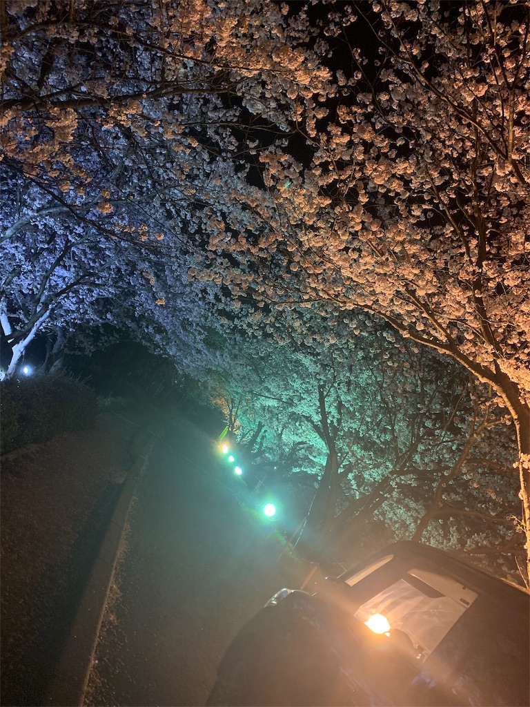 f:id:Letyc_cook:20190417003454j:image f:id:Letyc_cook:20190417003454j:image