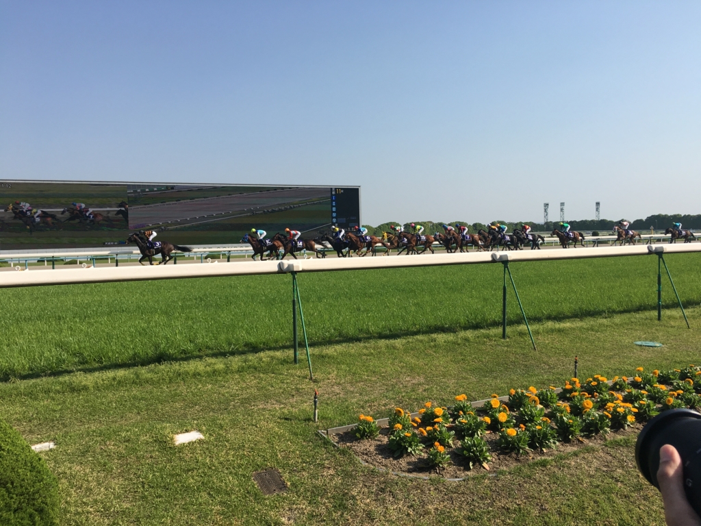 f:id:Leuker_HorseRacing:20170430235141j:plain f:id:Leuker_HorseRacing:20170430235141j:plain