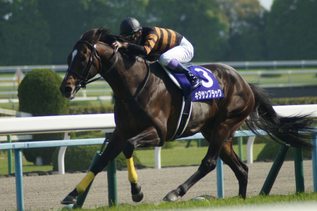 f:id:Leuker_HorseRacing:20170430235435j:plain f:id:Leuker_HorseRacing:20170430235435j:plain