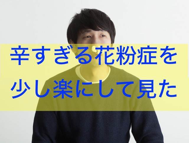 f:id:Levely1:20190315210015j:plain