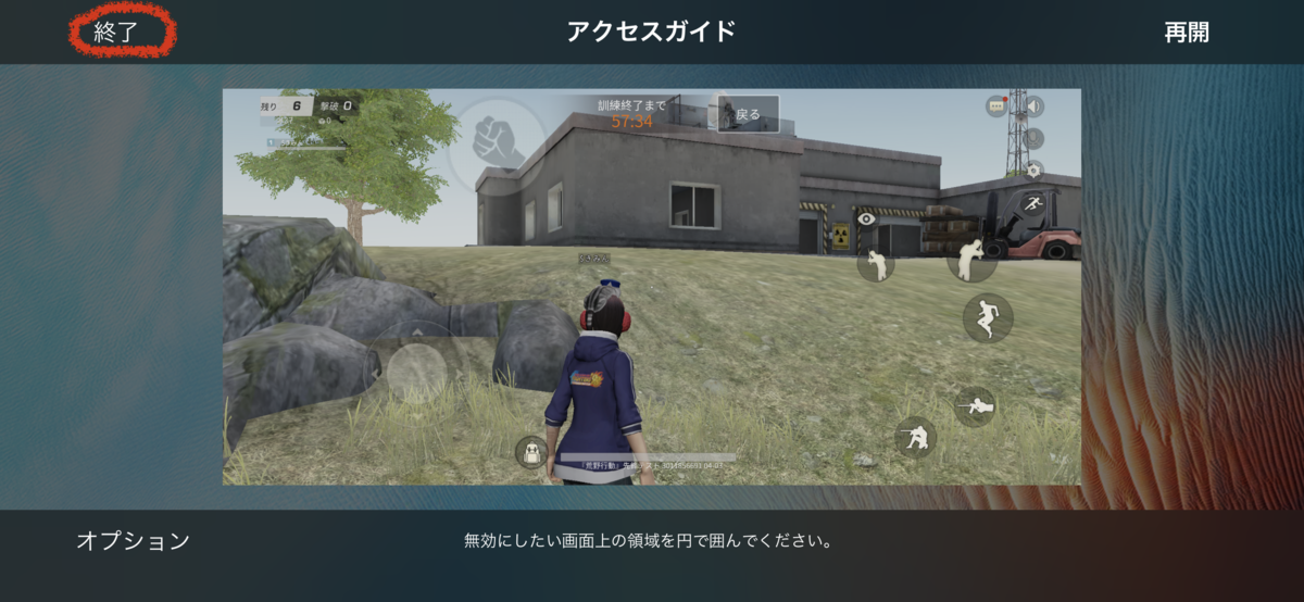 f:id:Levely1:20190408144255p:plain