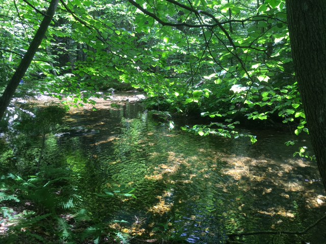 f:id:LexingtonMA:20170714042334j:plain f:id:LexingtonMA:20170714042334j:plain