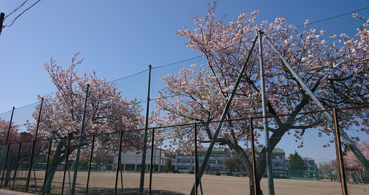 f:id:Lezza:20210429130219j:plain