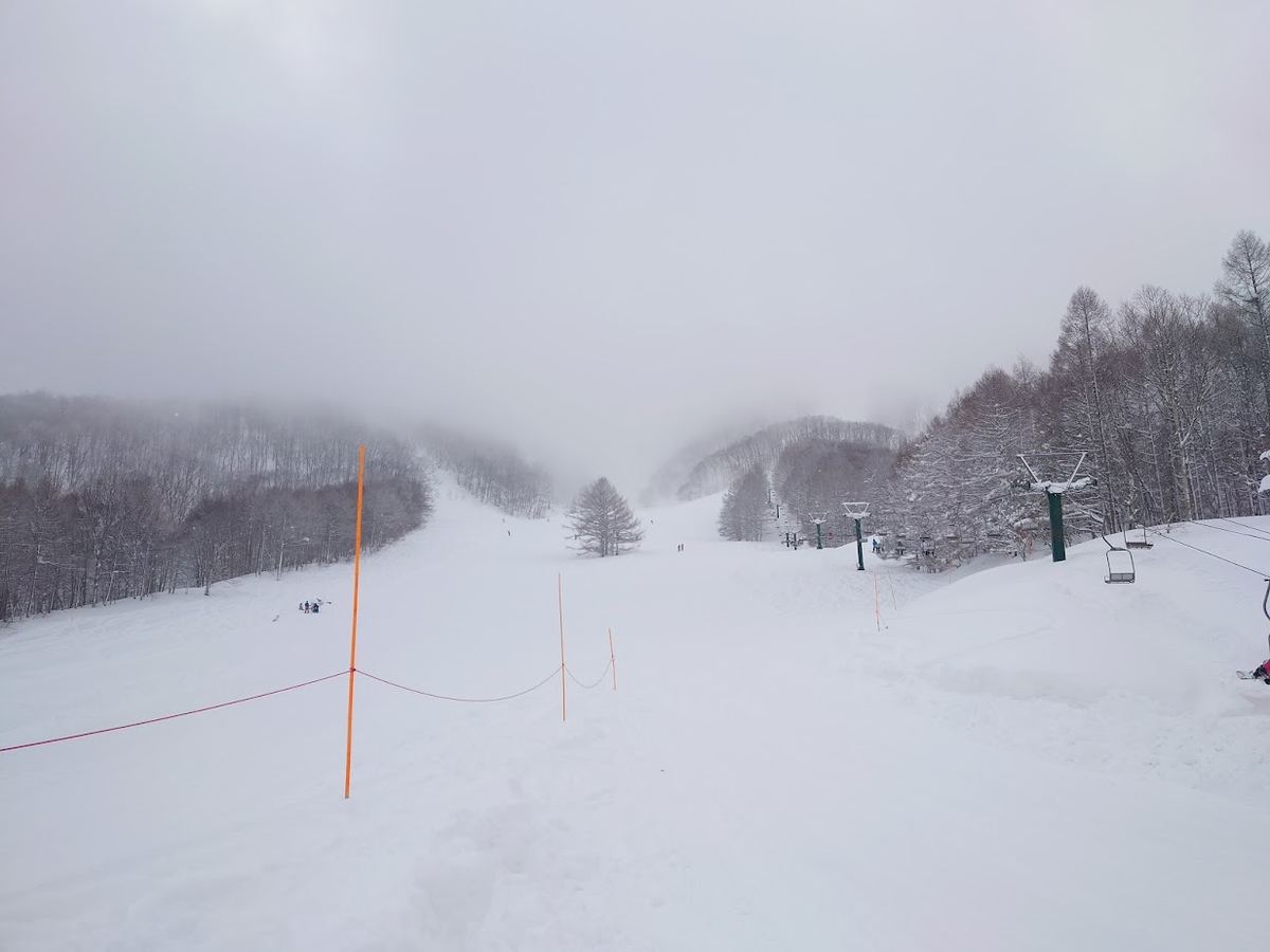 f:id:Li_veil_takeda:20220331230742p:plain