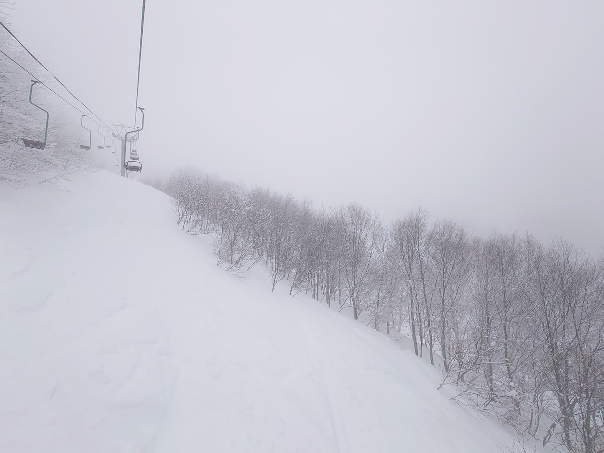 f:id:Li_veil_takeda:20220331231159p:plain